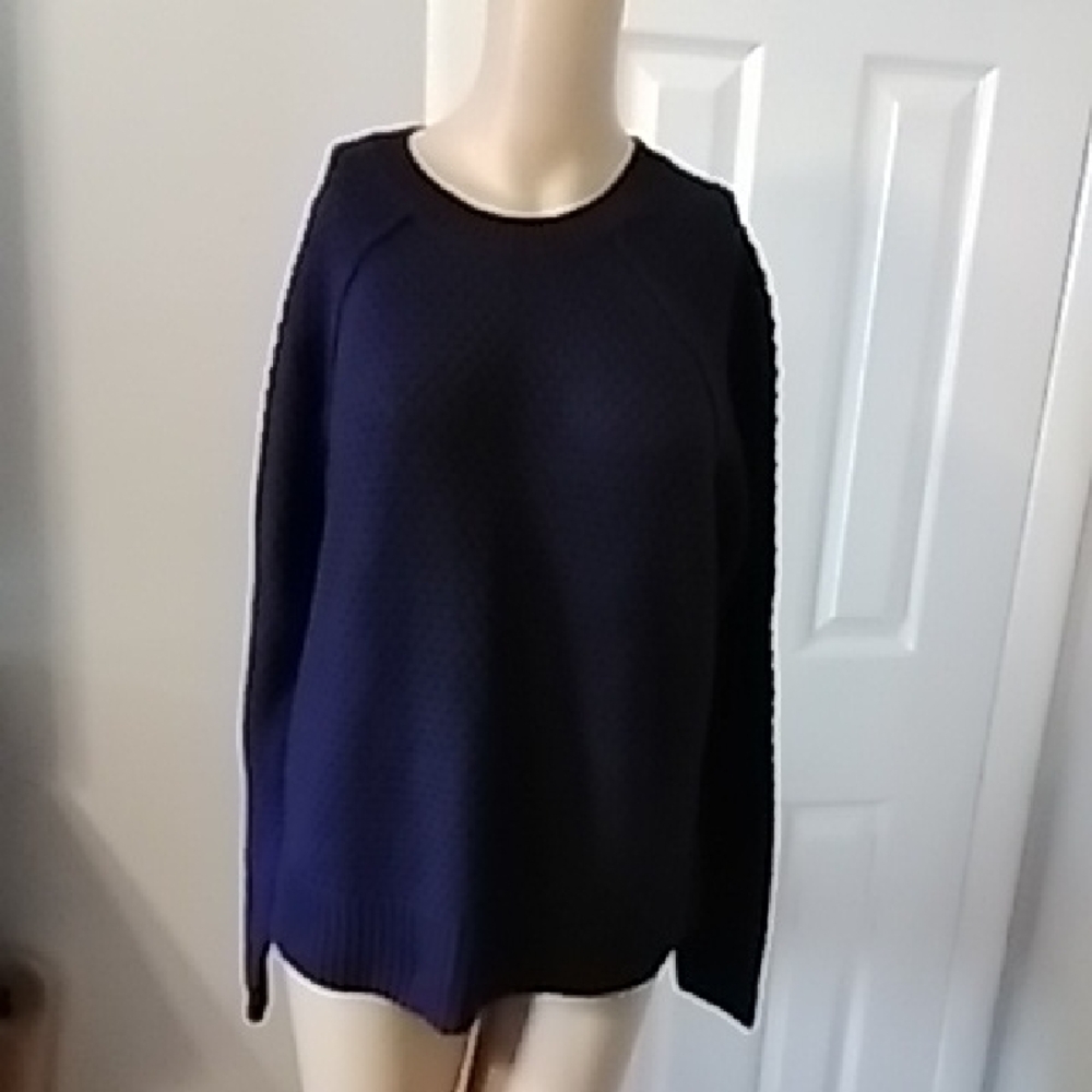GAP Women's Deep Blue Crew Neck Sweater